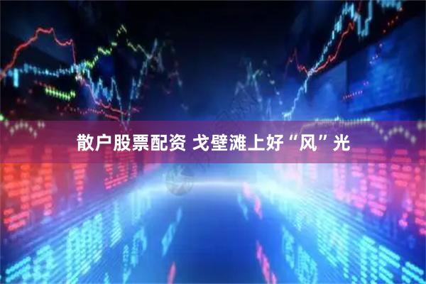 散户股票配资 戈壁滩上好“风”光